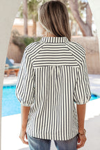 Stripe Floral Embroidered V-Neck 3/4 Sleeve Blouse